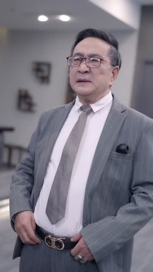 特工老妈之重出江湖（62集）全集一网打尽