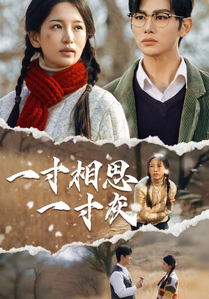 一寸相思一寸灰（43集）在哪个平台看好