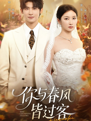 你与春风皆过客（66集）好看到停不下来