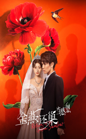 金燕还巢当感恩（55集）免费观看完整版