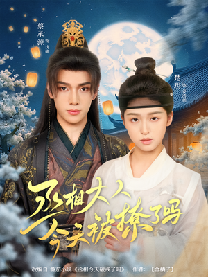 丞相大人今天被撩了吗（80集）在哪个平台看好