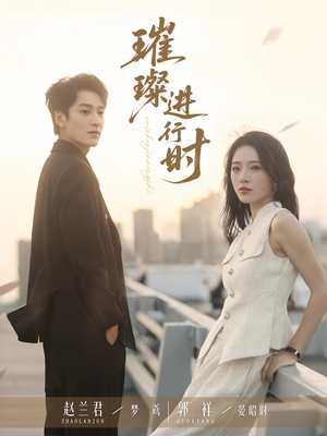 璀璨进行时（73集）百度网盘资源