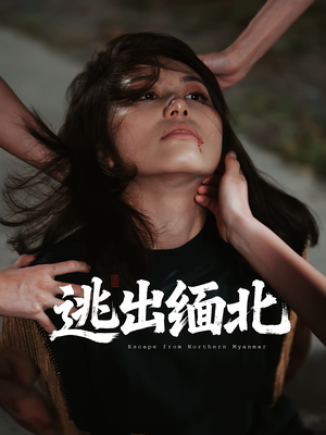 逃出缅北(62集) 逃出缅北(62集)短剧在线更新