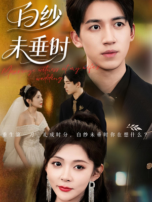 老婆婚礼我当证婚人（54集）短剧全集抢先看