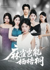 麻雀岂能栖梧桐（31集）在哪个平台看