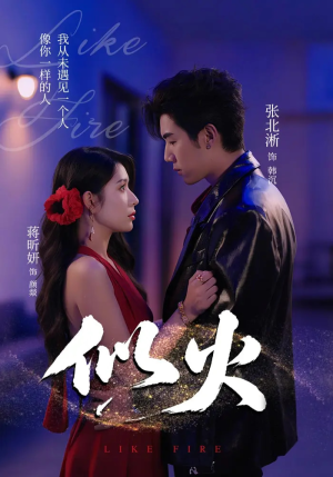 似火(80集) 似火(80集)看过的人都说好