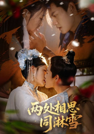 两处相思同淋雪（60集）热播短剧免费看