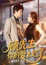 顾先生你的爱太迟了（60集）全网短剧抢先看