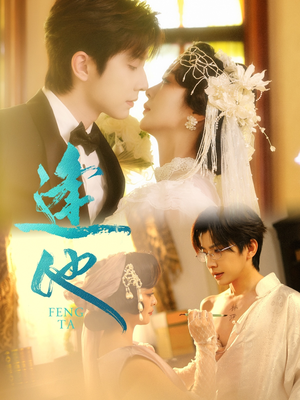 逢他(78集) 逢他(78集)简直不要太好看