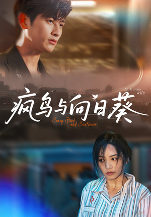 疯鸟与向日葵(40集) 疯鸟与向日葵(40集)最后的大结局