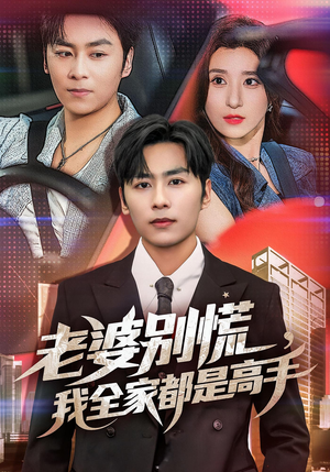 婆别慌我全家都是高手（58集）全集一次看完