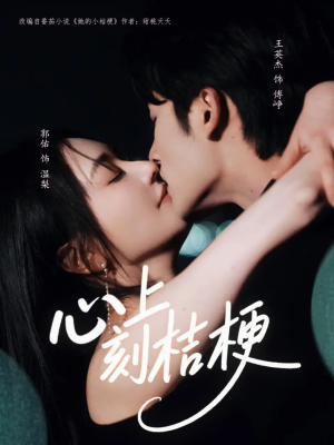 心上刻桔梗（90集）更新时间