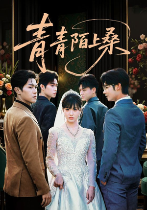 青青陌上桑（70集）百度网盘资源