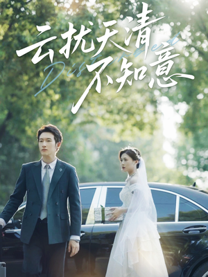 云扰天清不知意（60集）海量资源免费看