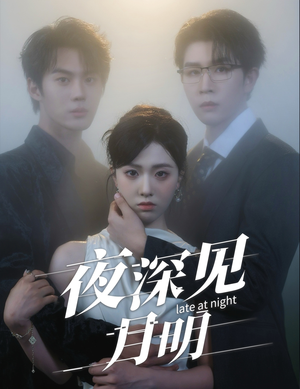 夜深见月明(50集) 夜深见月明(50集)推荐热门短剧