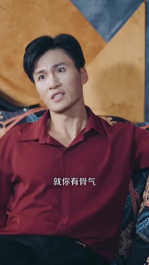 无敌贾二虎&贾二虎的妖孽人生 (80集) 超火短剧抢先看