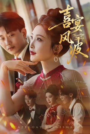 喜宴风波&替罪伴娘（30集）全网短剧抢先看