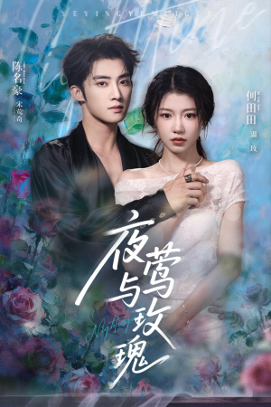 夜莺与玫瑰（66集）夸克网盘在线看