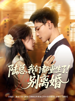 陆总我们都重生了别离婚（79集）在线免费观影