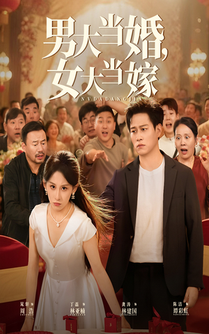 男大当婚女大当嫁（50集）第一季