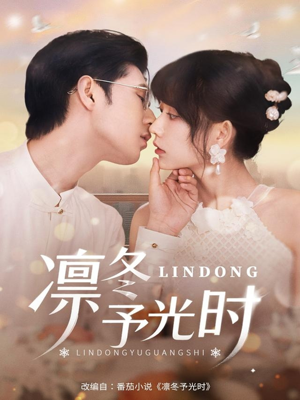 凛冬予光时(60集) 凛冬予光时(60集)全季一次看完