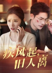 疾风起旧人离(32集) 疾风起旧人离(32集)短剧爆款推荐