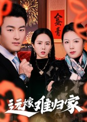 远嫁难归家（32集）姜博龙免费看全集