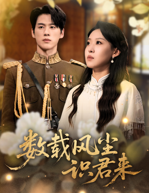 数载风尘识君来（62集）短剧中追到爽