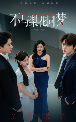 不与梨花同梦（50集）全部免费看全集