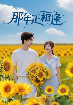 那年正相逢（60集）西瓜短剧免费看