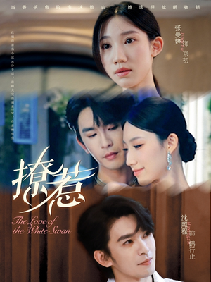 撩惹（80集）精彩短剧看全集