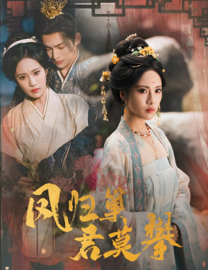 凤归巢君莫攀（60集）在线看到大结局