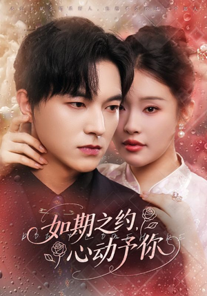 如期之约心动予你（82集）全剧看到大结局