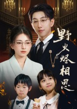 野火烬相思（61集）短剧排行榜