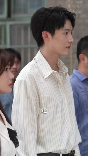 乡野医美 (80集) 看到大结局