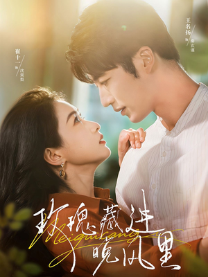 玫瑰藏进晚风里（68集）一起看短剧
