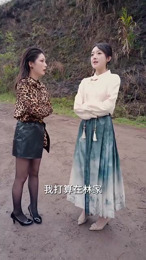 这个高手稳如老狗（109集）在线看免费版