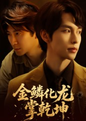 金lin化龙掌乾坤（54集）视频在线看