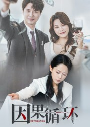 因果循环(45集) 因果循环(45集)第二季
