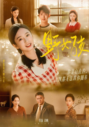 野女孩（91集）我全都看完了