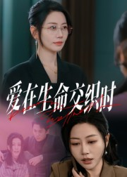 爱在生命交织时（33集）好看吗