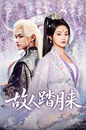 故人踏月来（60集）解说文案