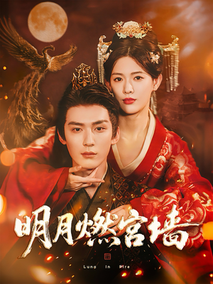 明月燃宫墙（60集）热门短剧免费看