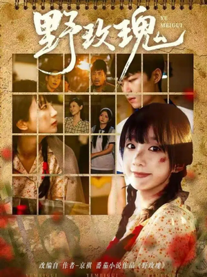 野玫瑰(82集) 野玫瑰(82集)免费观看