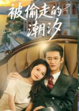 被偷走的潮汐(60集) 被偷走的潮汐(60集)短剧免费观看