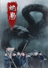 蛇影（25集）热门短剧大全
