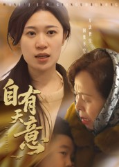 自有天意（35集）全剧免费观看
