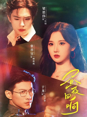 昼夜回响（76集）最新短剧推荐