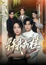 许我折桂（70集）短剧在线观看