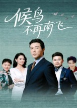 候鸟不再南飞（80集）新短剧推荐
